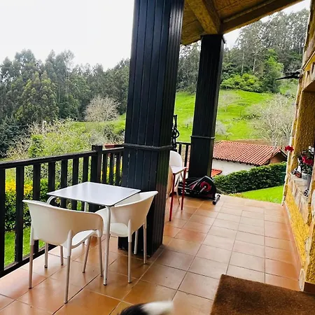 Homestay Casa Simona *